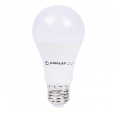 LED Lamp Classic A60 12 Watt E27 Dimbaar